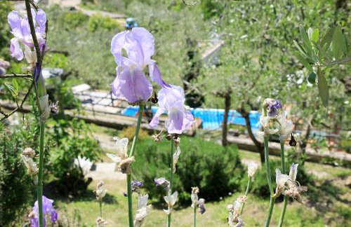 Tuscany Villa Chianti Hills - Villa Oliveta - Foto 57