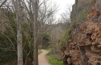 Apartamento Casa Rafa - Foto 31