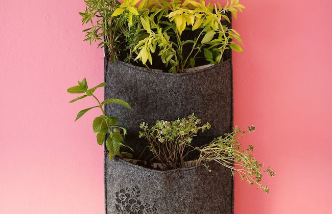 Garden apartment - Foto 8