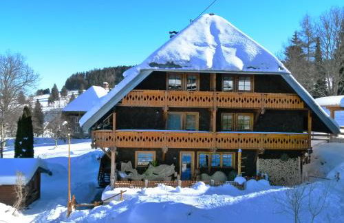 Ferienwohnung 3 Panoramablick - NEU incl 3-WeltenCard mit 140 kostenlosen Attraktionen - Foto 54