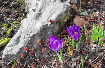 Haus Stefanie Elvire - Foto 55