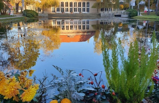 Schloß Schönberg - Foto 49