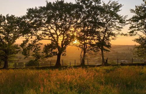 Coedmor Cottages - Foto 29