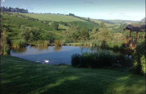 Pant yr onen holidays - Photo 53