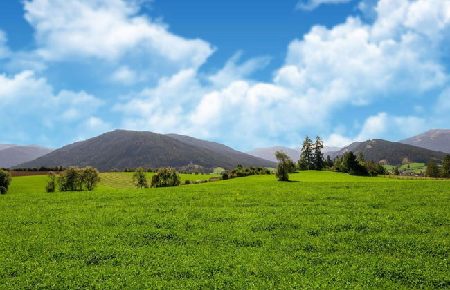 Lovely Chalet in Wolting With Natural Pond - Foto 39