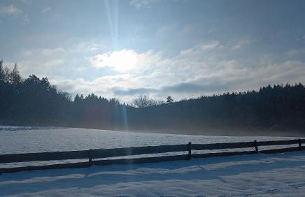 Kleines Paradies am Waldrand - Photo 28