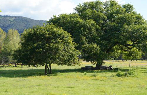 Quinta do Areal - Foto 33