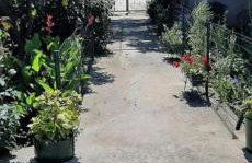 Apartman Antea, Sućuraj Hvar - Foto 32