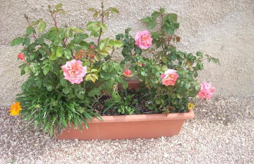 Agriturismo La Rosa Montefalco - Foto 28