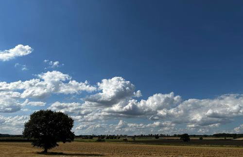 Fotheringhay Glamping - Foto 44