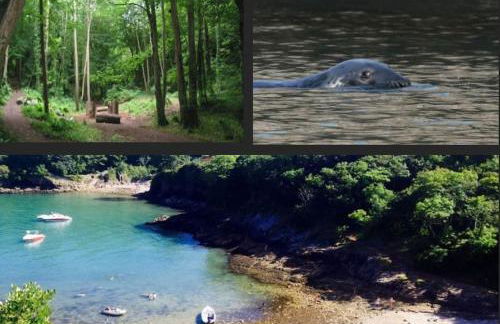 Sommersway Cottage - Photo 31