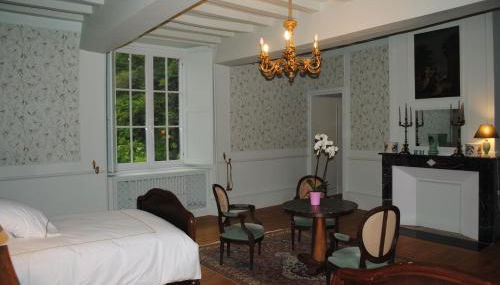 Château dans le calme de l'Anjou - Foto 5