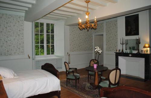 Château dans le calme de l'Anjou - Foto 5