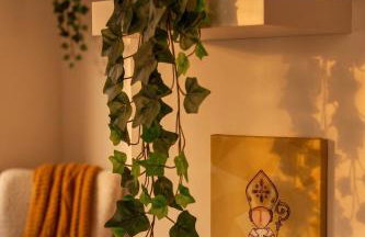 Kyntherland House - Photo 16