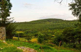 Stunning Barn Conversion with HOT TUB and ALPACAS - Ty Cerrig Barn - Photo 44