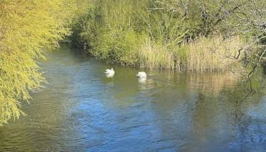 Stunning new Duplex apartment - Christchurch - Foto 3