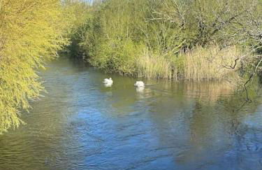 Stunning new Duplex apartment - Christchurch - Foto 3