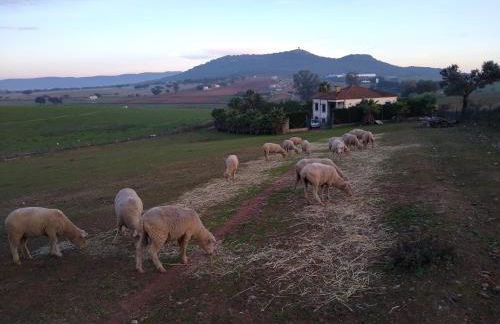 Casa rural los Cuartos - Foto 40