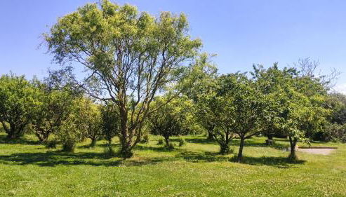 Gîtes pour grand groupe 18 personnes à 15 mins du Puy du Fou - Foto 3