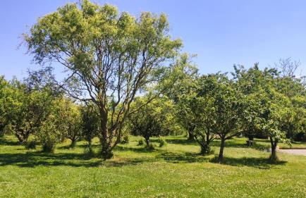 Gîtes pour grand groupe 18 personnes à 15 mins du Puy du Fou - Foto 3