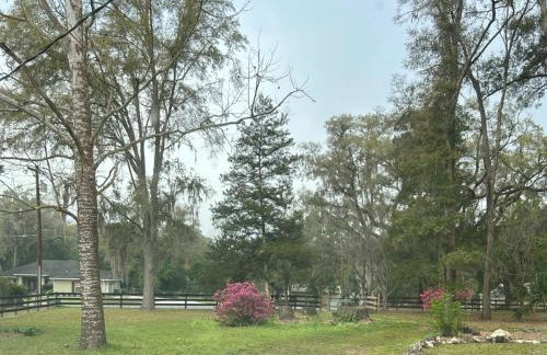 Happy Place near WEC , Natural Springs,Zip-Line - Photo 58