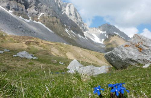 Metsola Apartamentos Rurales - Foto 34