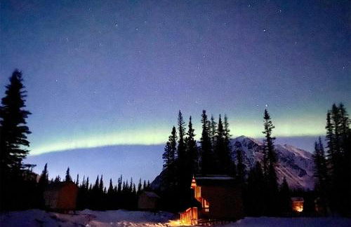 Secluded, Pet Friendly Cabin near Denali National Park with Mountain and Lake Views, Perfect for an Alaskan Escape - Foto 9