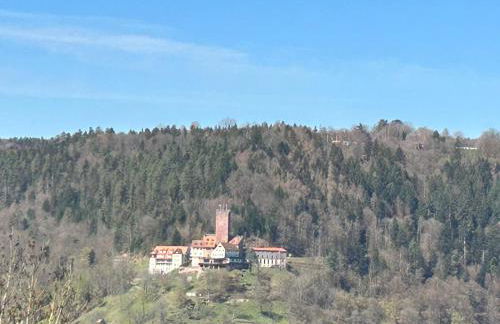 1-Zimmerapartment mit Burgblick - Foto 10