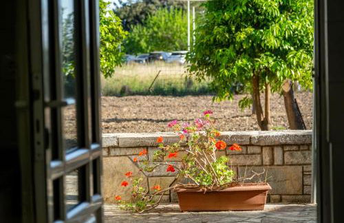 Stefano's Home - Foto 31