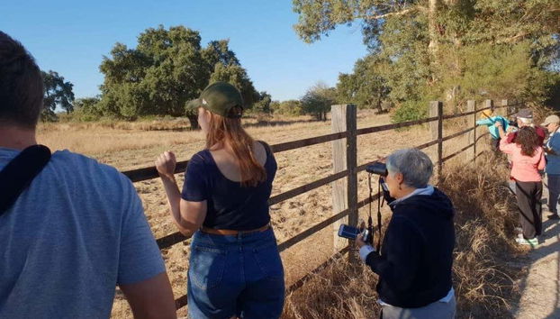 Doñana National Park 4x4 Tour - Photo 2