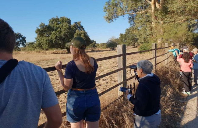 Doñana National Park 4x4 Tour - Photo 2