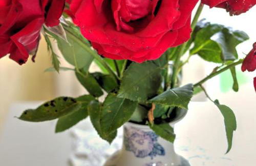 Gîte Authentique avec Internet Très Haut Débit à Amions-Vézelin - FR-1-496-226 - Foto 23