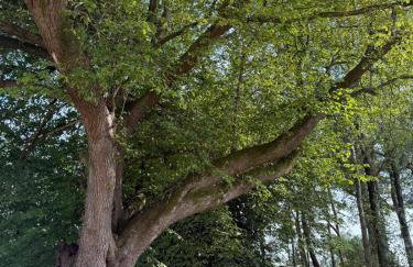 Meathpark Country House - Foto 49