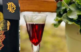 Apartment with a terrace Forest Home Lullula - Photo 48