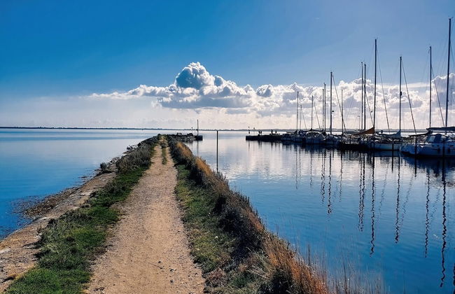 Ferienwohnung Sturmeck, Fehmarn-orth - Foto 21