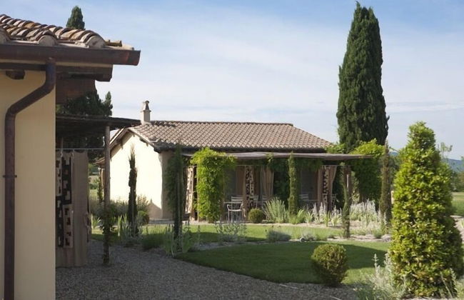 Rinidia Bio - Foto 56