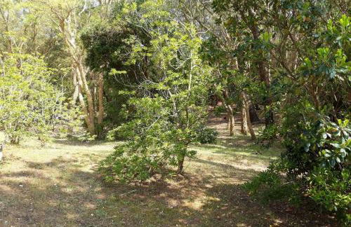 Appt Seignosse le Penon - plages commerces à pied - Foto 23