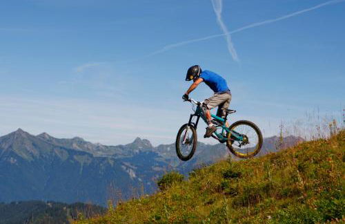 BelleVue centre, wifi, mountain view - Foto 52