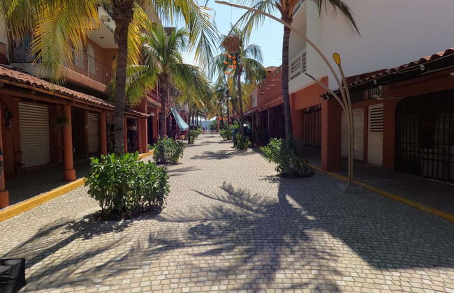 Tour of Ixtapa Zihuatanejo - Foto 8