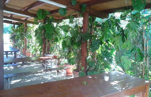 Bosco Romagno - Foto 25