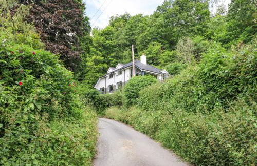 Bryn Golau - Foto 33