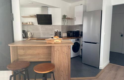 Appartement proche Paris-Aéroport CDG-Gare-Disney - Foto 9