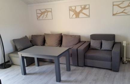 Domek Pod Brzozami - Foto 21