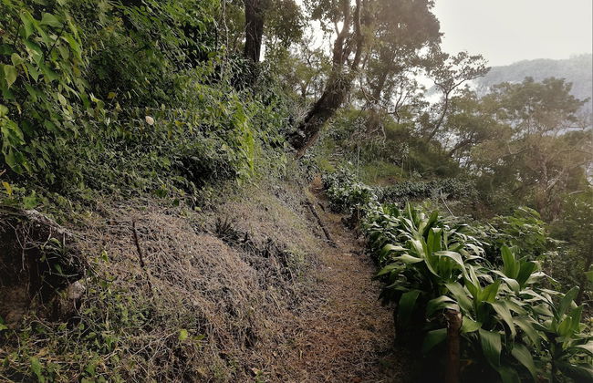 Pink house - Foto 11