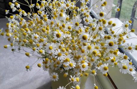 Elia by the sea - Photo 48