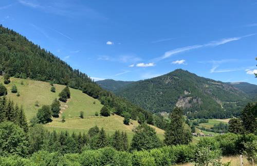 Ferienwohnung Sonnenterrasse - Foto 16