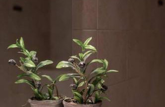 Cozy apartment in Sykies by MPS - Foto 20