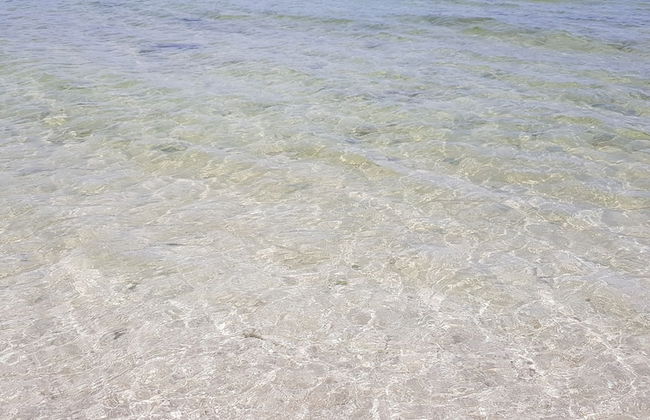 Casa de los peces - Foto 19