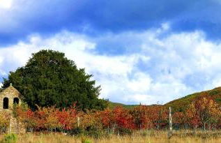 Casa de Abril 1 - Foto 25