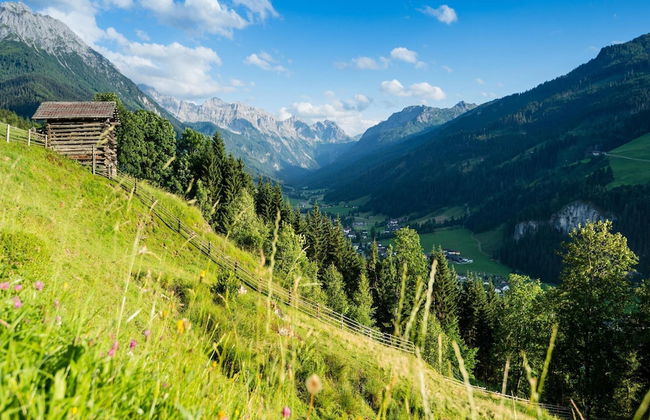 Apartment in Kleinarl Near Ski Slopes - Foto 38